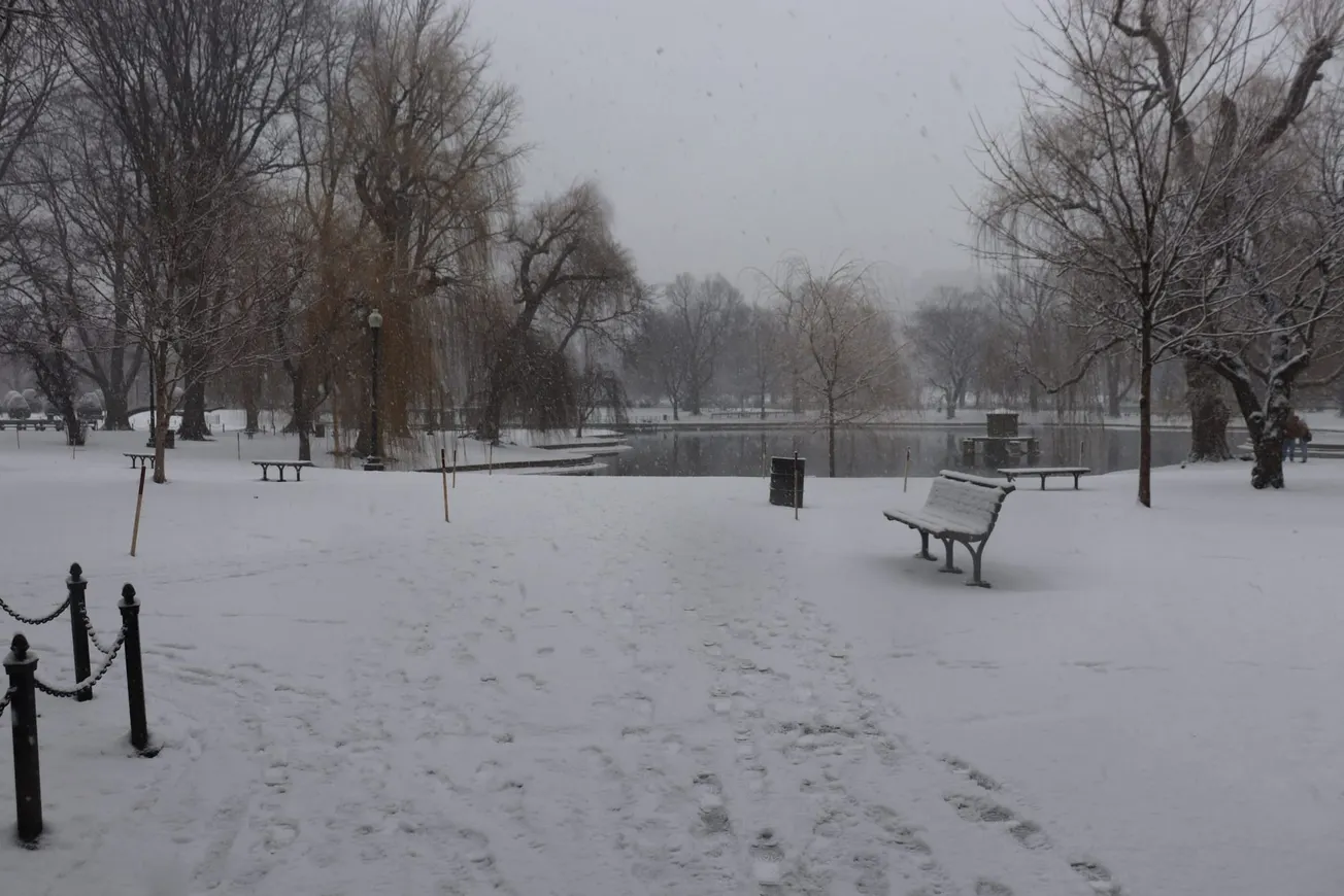 Nieve en Boston Public Garden. Foto. Claudia Ginestra. El Planeta