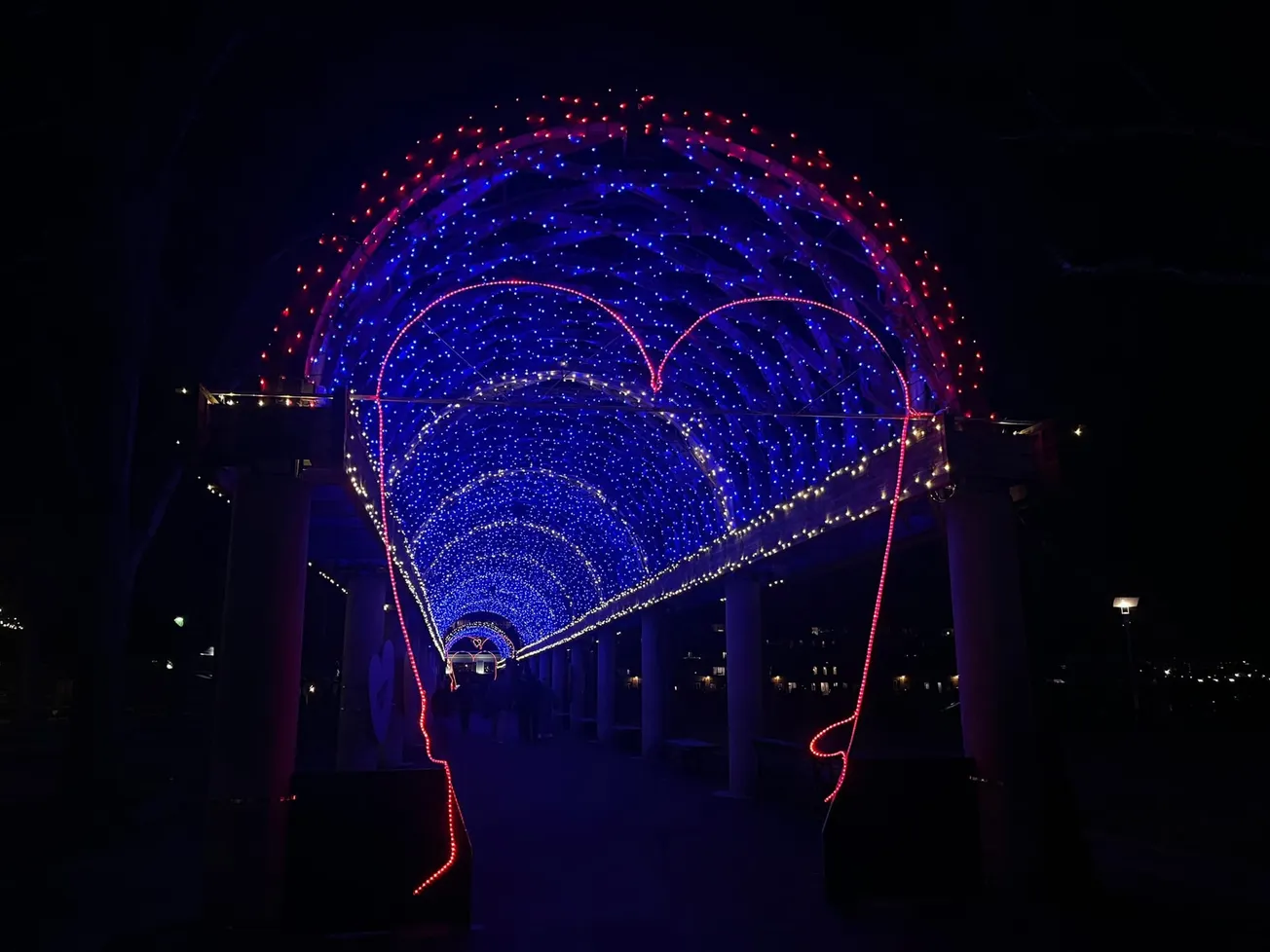 Boston celebra el Día de San Valentín con "El Túnel de Amor"