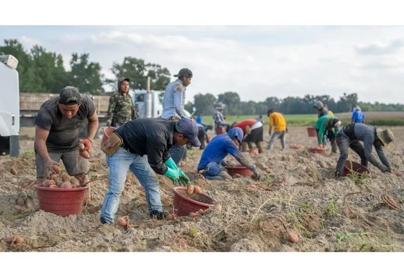 Salud Mental en Colorado