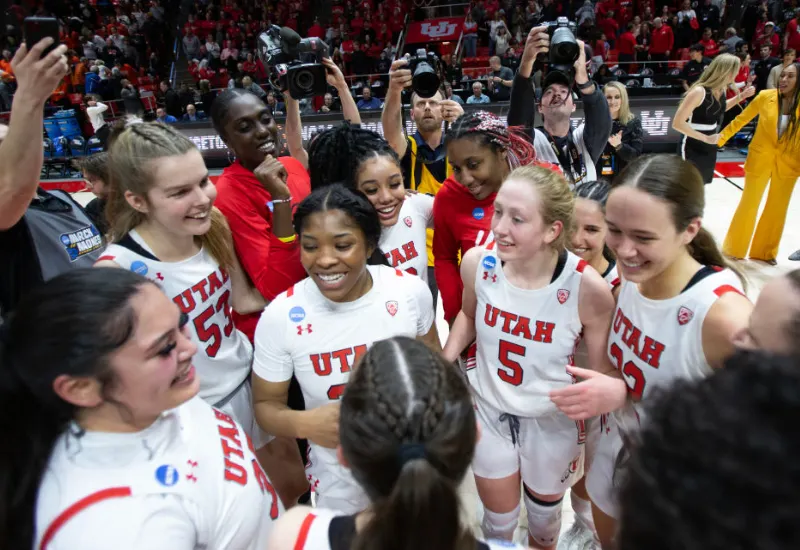 Equipo Utah Insultos