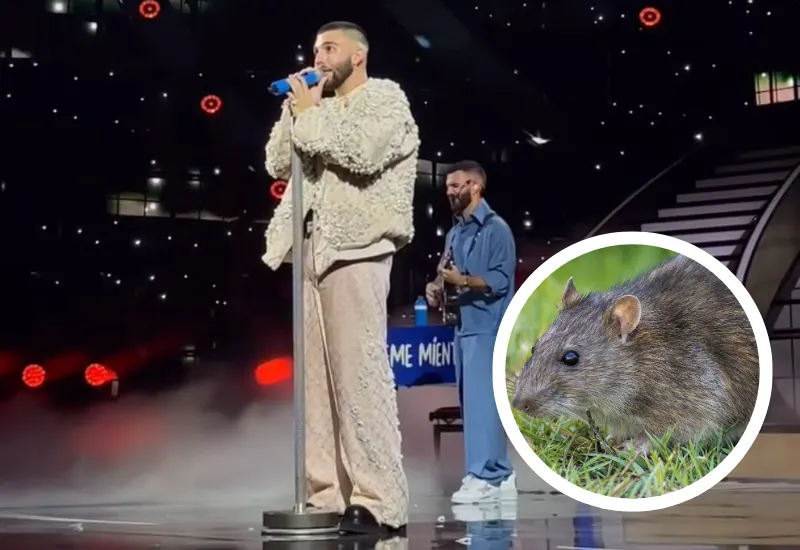 manuel turizo viña del mar