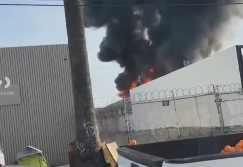 bomberos incendio Los Ángeles