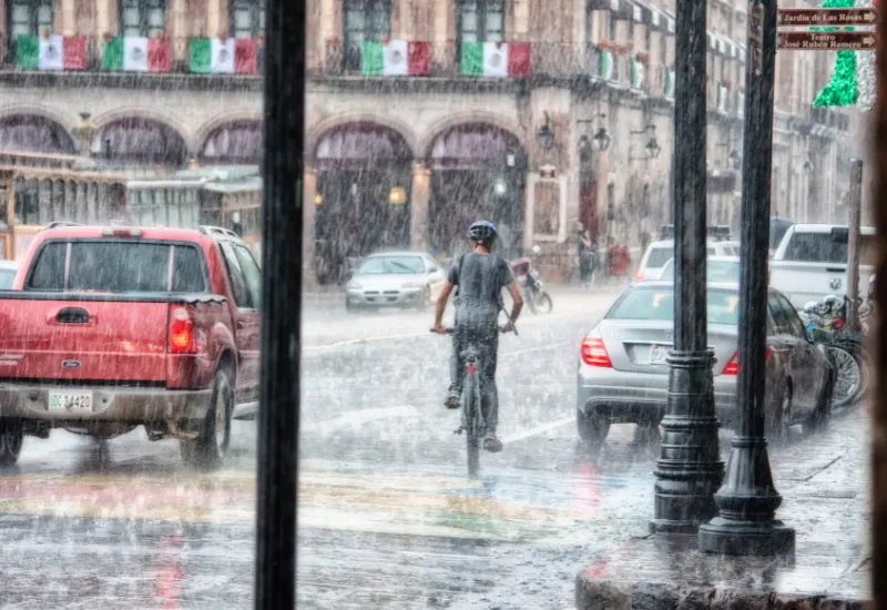 Escuelas meteorológicos