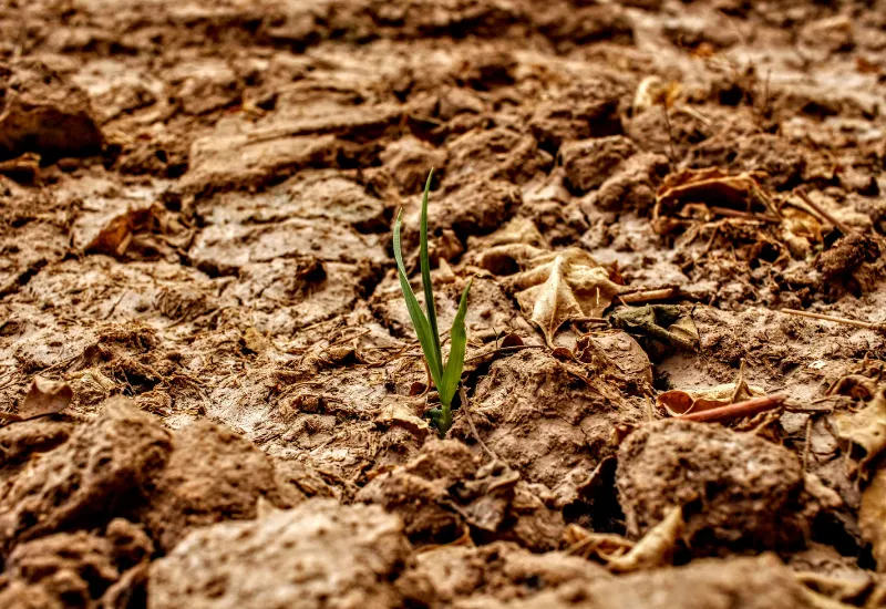 sequía mundial
