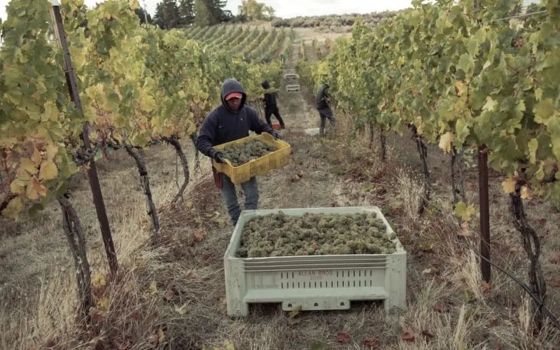 campo agrícola cambio climático