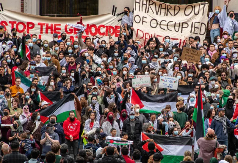 Profesores Universitarios