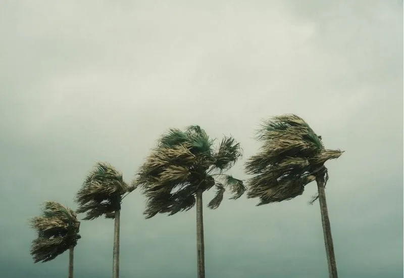 Tormenta tropical Beryl podría convertirse en huracán este domingo