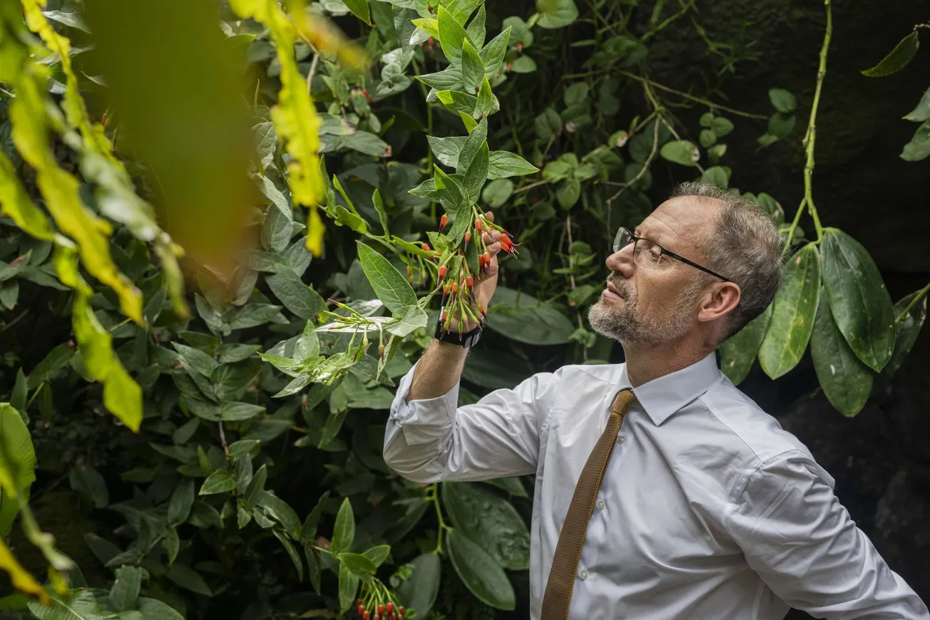 Los humanos podrían resultar ser la especie 'clave' más crucial de todas