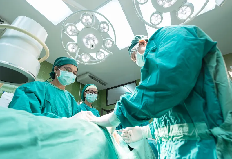 trasplante riñón de cerdo