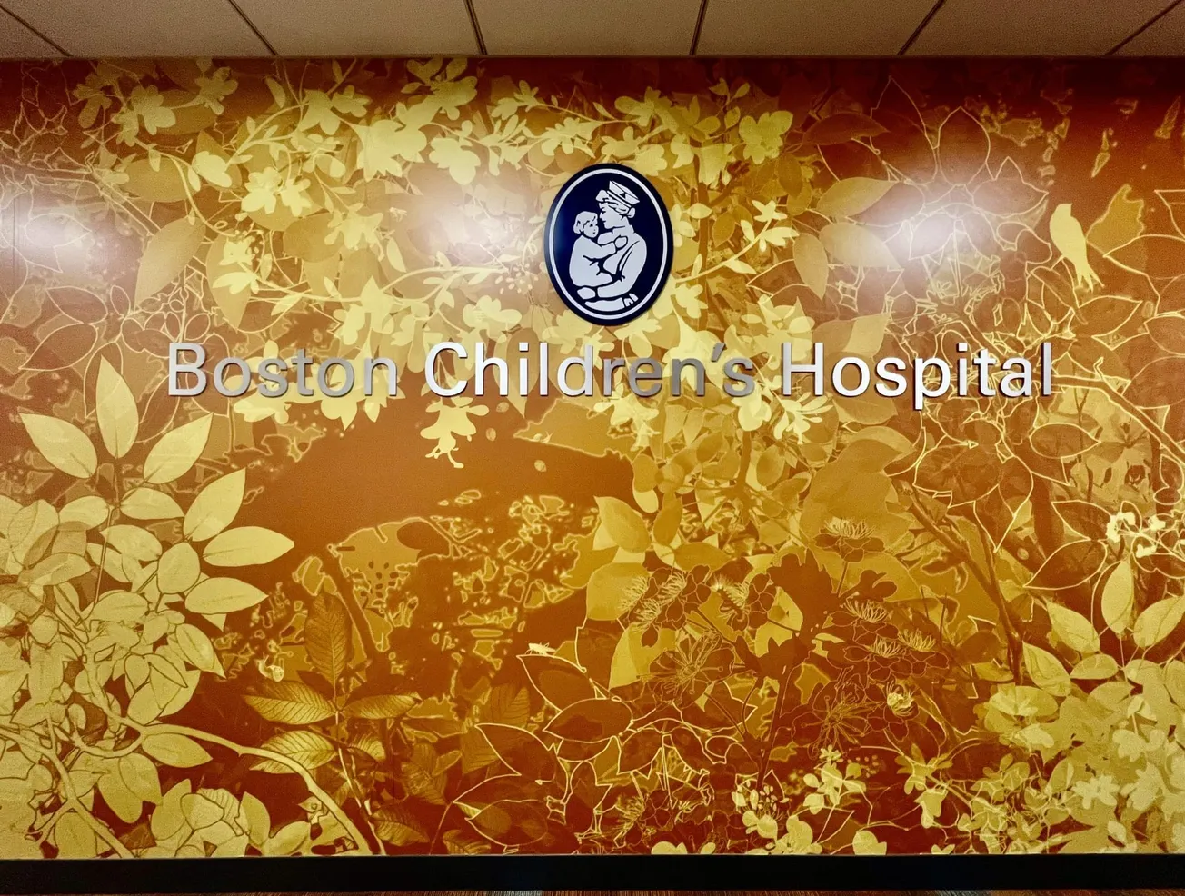 Boston Children’s Hospital se asocia con Sociedad Latina para abordar la salud mental juvenil
