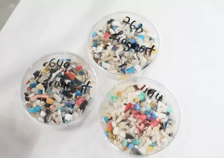 Microplásticos invaden cerebros humanos: niveles aumentan 50% en 8 años