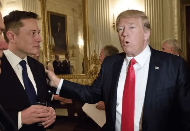 elon musk trump