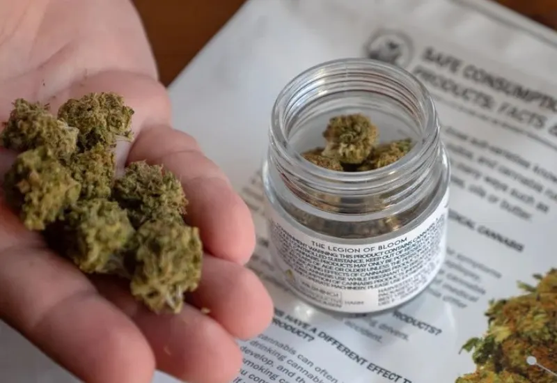 Ohio legaliza el cannabis recreacional y emitió el primer lote de licencias de comercio