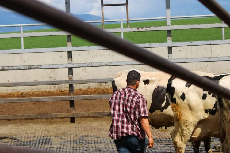 cambio climático latinos Montana