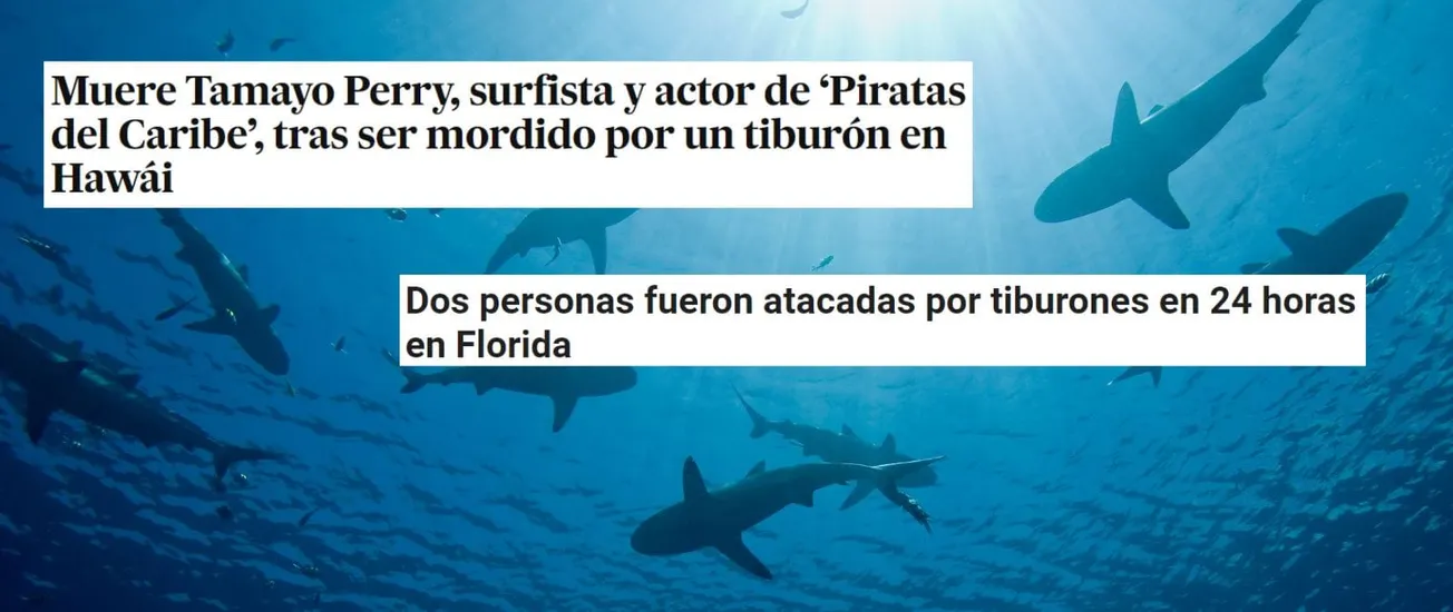 ataques tiburón