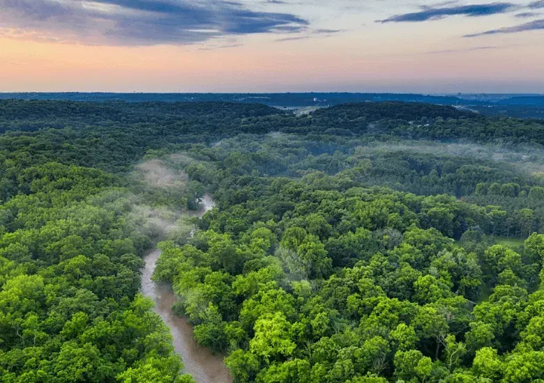 Minería ilegal en el Amazonas devastó lo equivalente a 584 campos de fútbol en 2024