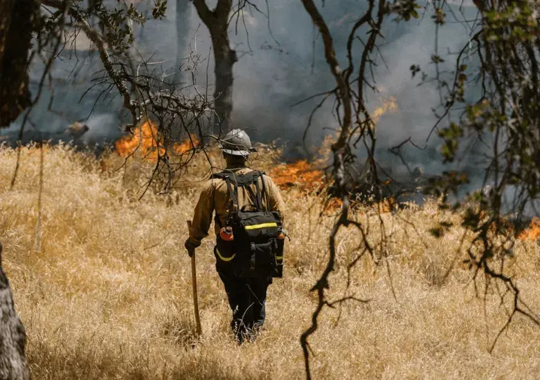 El cambio climático le costó $62.000 millones a las aseguradoras en el primer semestre de 2024