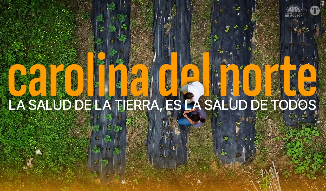 Latinos lideran la agricultura orgánica, una nueva forma de cultivar alimentos de manera sostenible para combatir el cambio climático