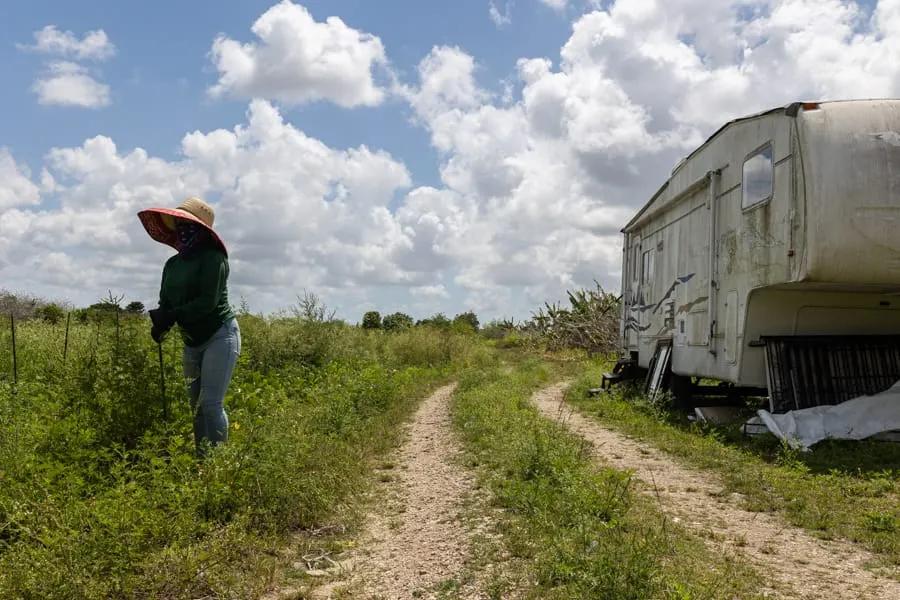 Una mujer labra la tierra en un cultivo en la comunidad de Redland, Miami-Dade