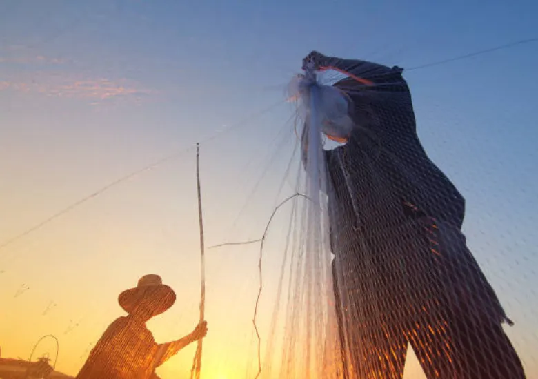 Labor Day: cómo contribuyen los inmigrantes a la economía estadounidense