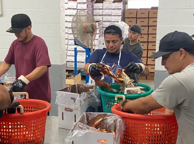 Los pescadores de cangrejo en la Bahía de Chesapeake se enfrentan a desafíos comerciales