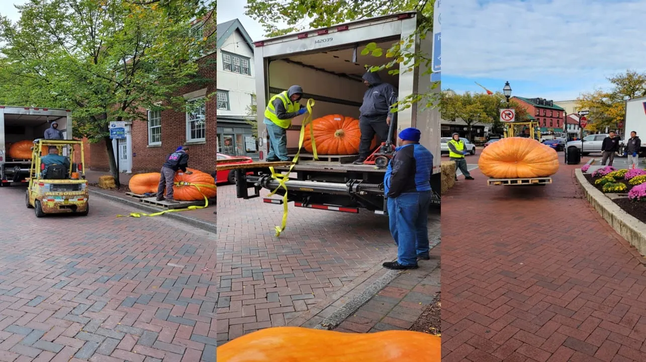 Festival de Calabazas en Annapolis regresa de la mano de un artista gastronómico de renombre nacional