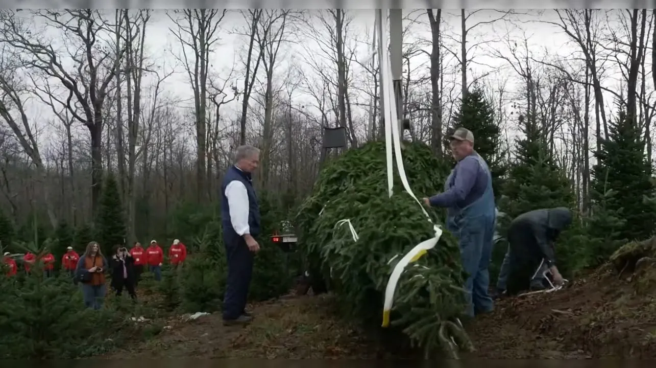 Árbol de Navidad de la Casa Blanca: símbolo de resiliencia en Carolina del Norte