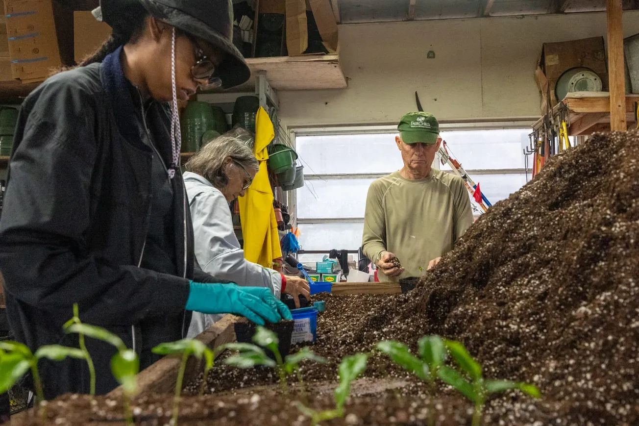Plantas Nativas en Maimi