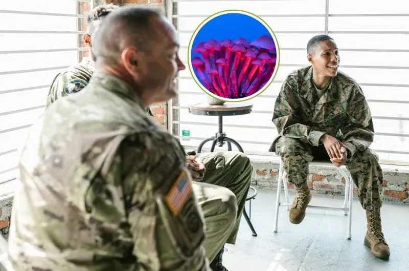 Veteranos desafían la FDA y buscan terapias psicodélicas para su salud mental