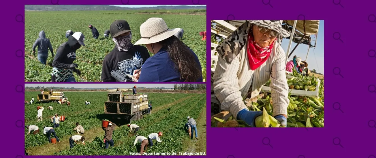 trabajadores agrícolas mexicanos