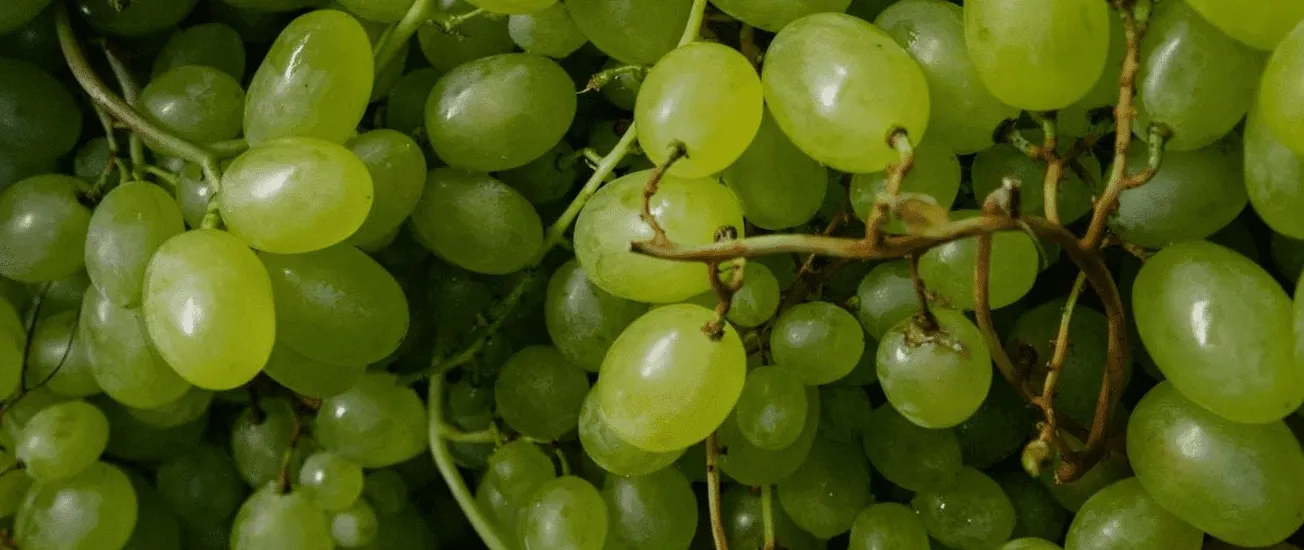 uvas nochevieja asfixia