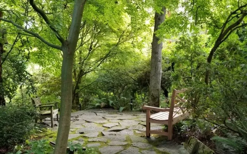 bosque urbano Washington D.C.