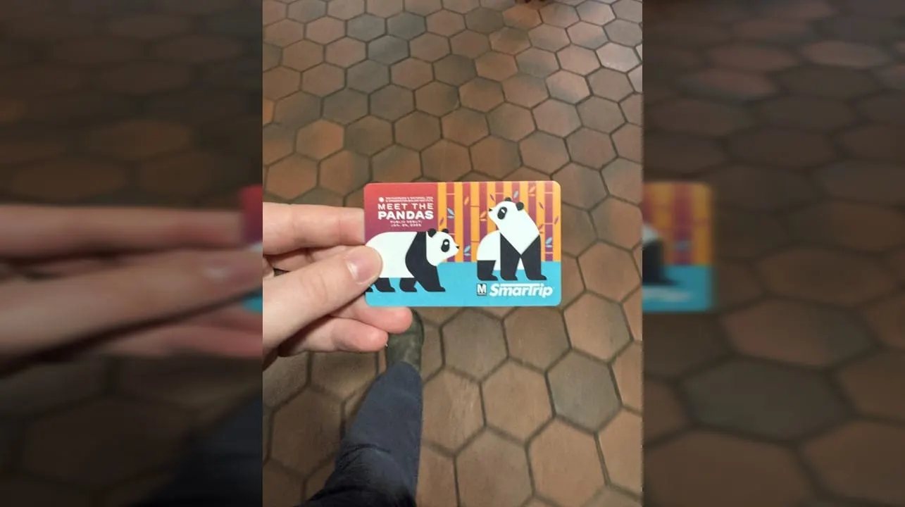 Las tarjetas SmarTrip de pandas prometen un viaje inolvidable al Zoológico Nacional