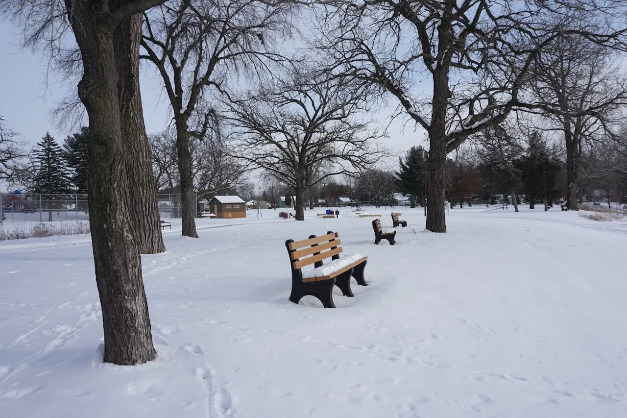 tormenta invernal en dc