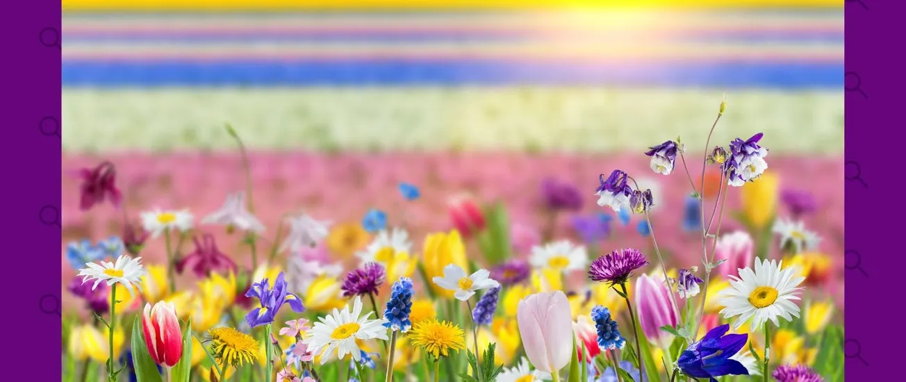 inicio primavera estados unidos 2025