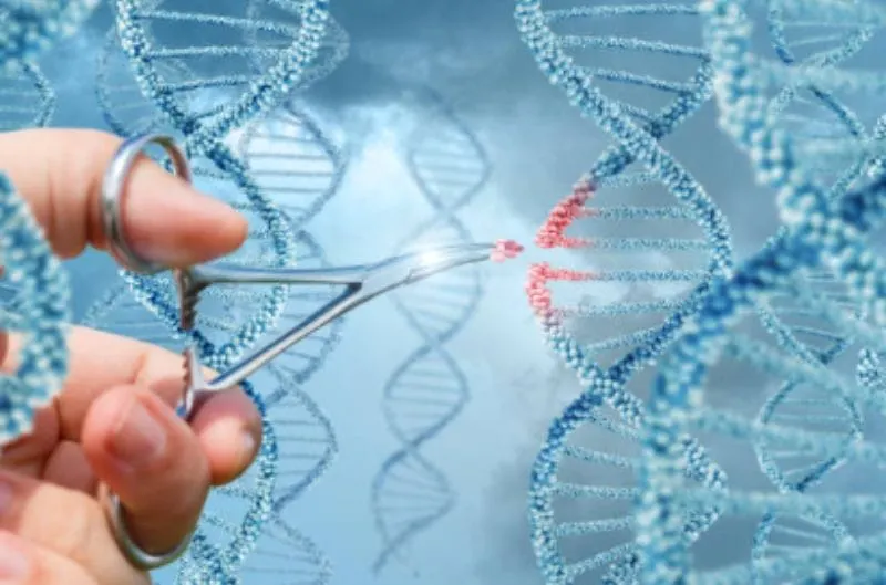 Edición genética que "revivió" a los dire wolves redefine la medicina moderna