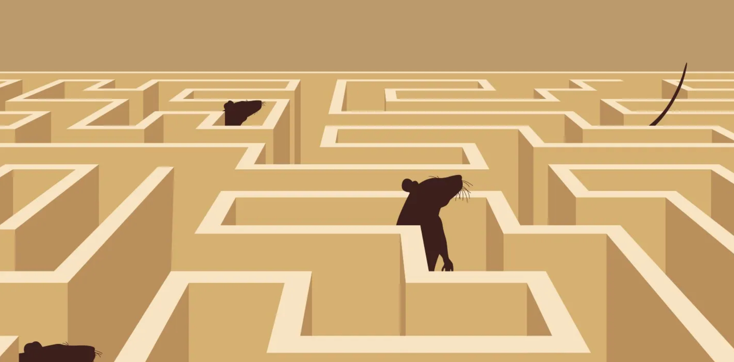 What if Distress is a Feature, Not a Bug?