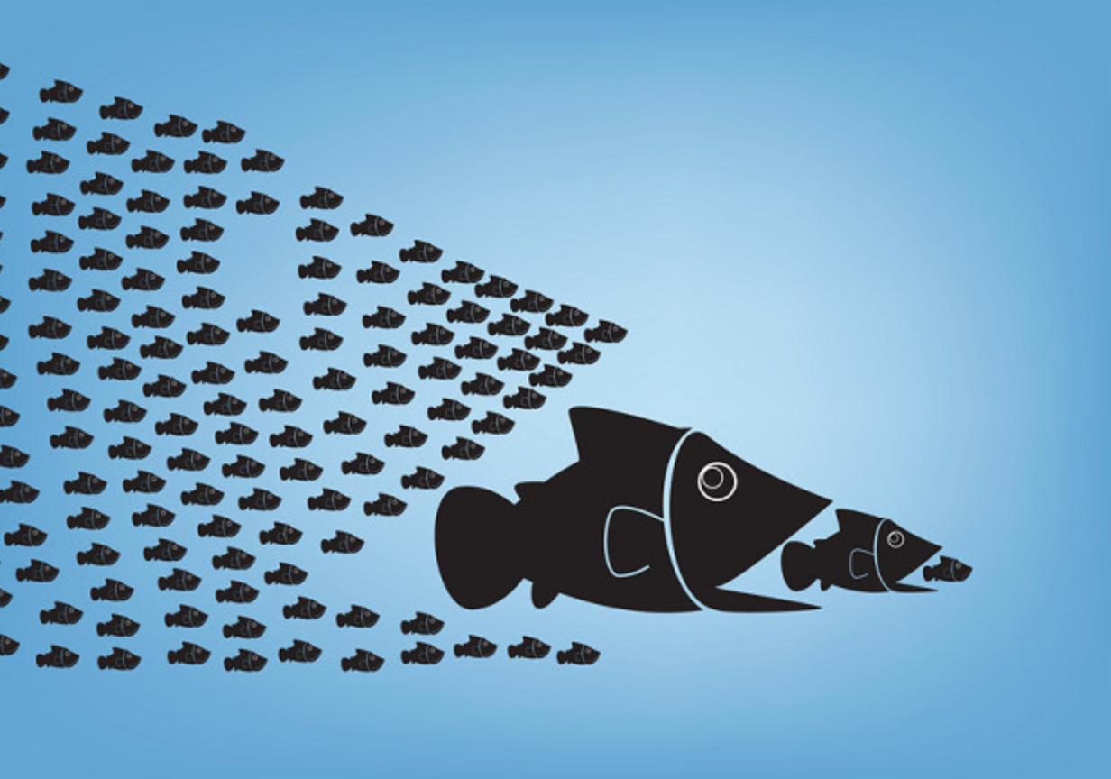 Little Fish Eat Big Fish