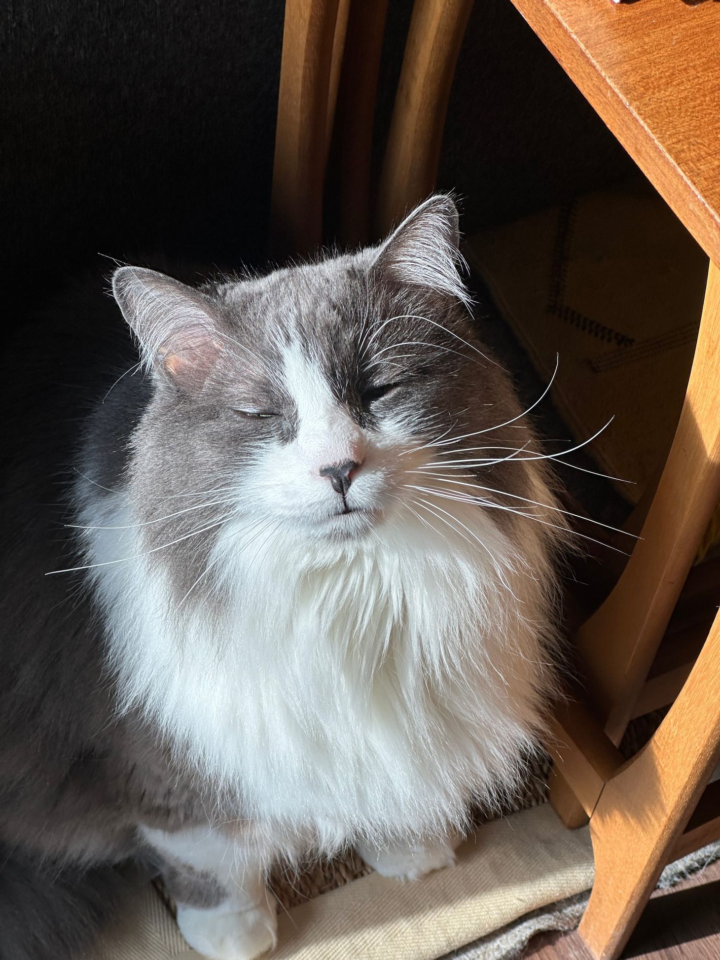 What's On Your Mind?