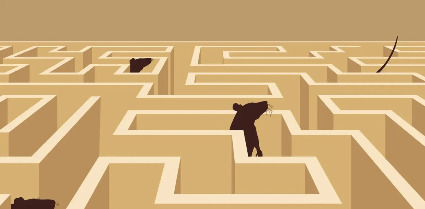 What if Distress is a Feature, Not a Bug?