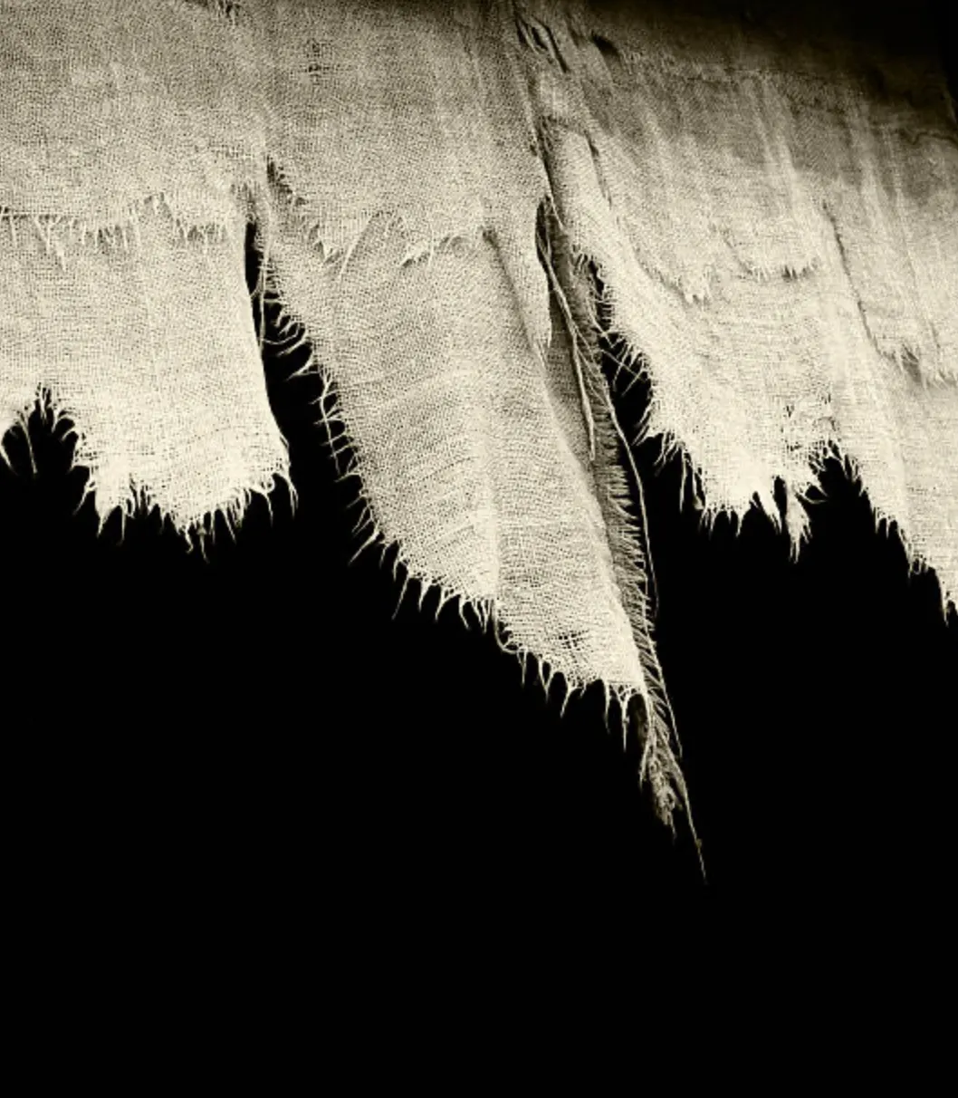 Amplification, Acceleration, Aggravation: How Social Media Rips Us Apart