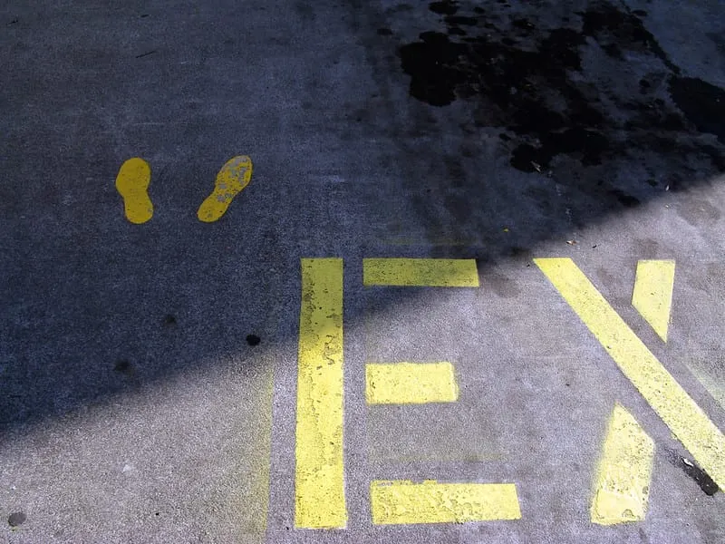 Everyone's An Expert Now