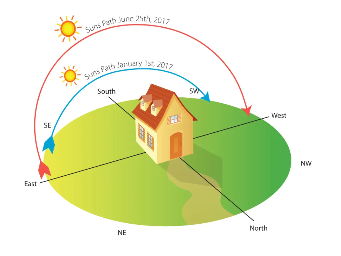 I Promise I'm Not Insane