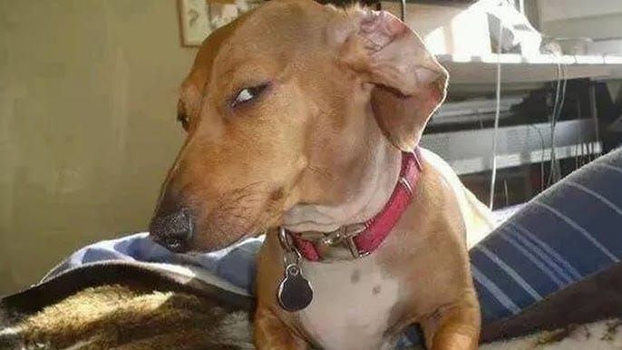 Question: Can I Put Numbers on My UXR Resume If I Do Not Have Numbers?