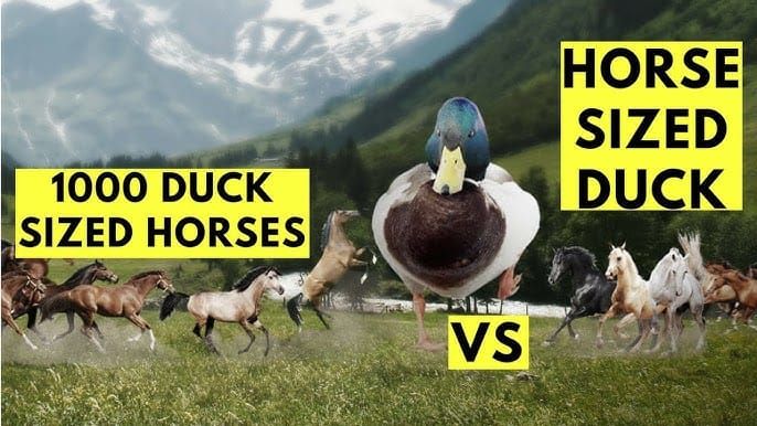 UXR Survival Guide: One Giant Duck, 1000 Tiny Horses, and Organizational Maturity