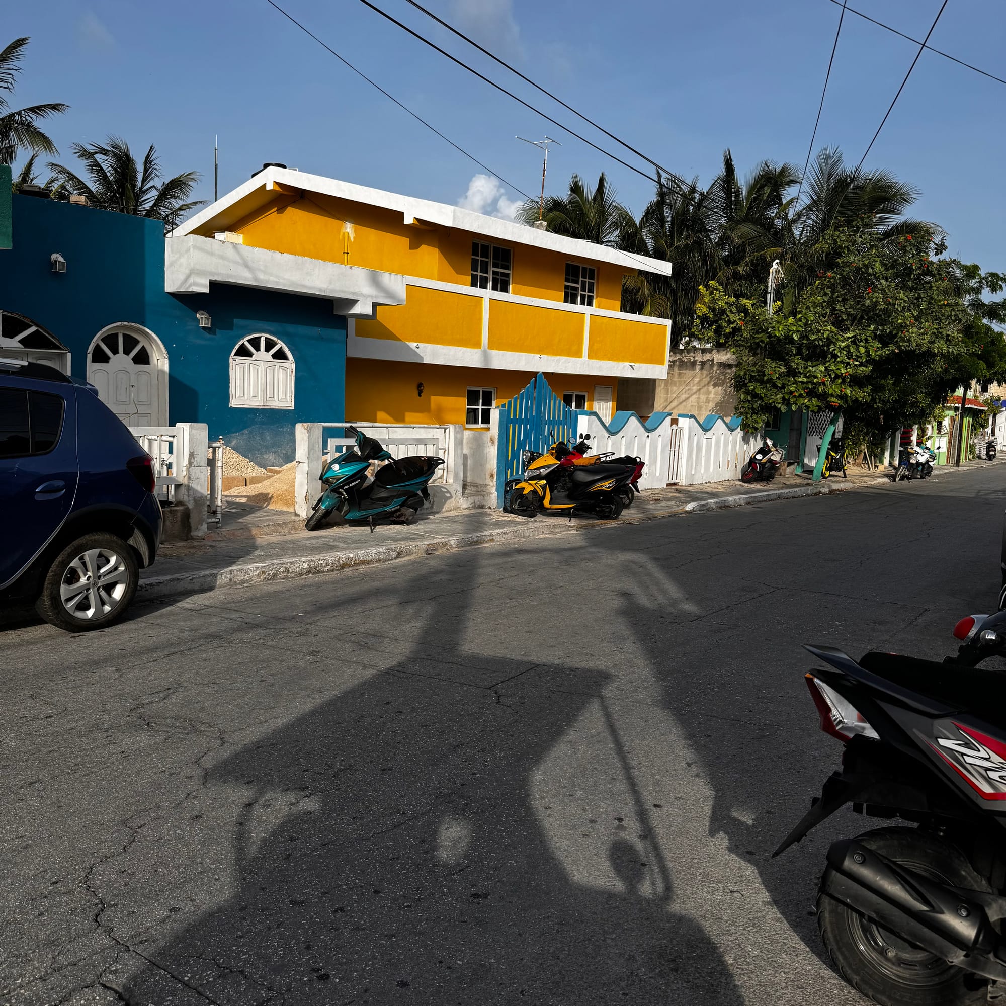Bright yellow and blue homes line a quiet residential street on Isla Mujeres with scooters parked along the curb and palm trees rising behind the neighborhood.