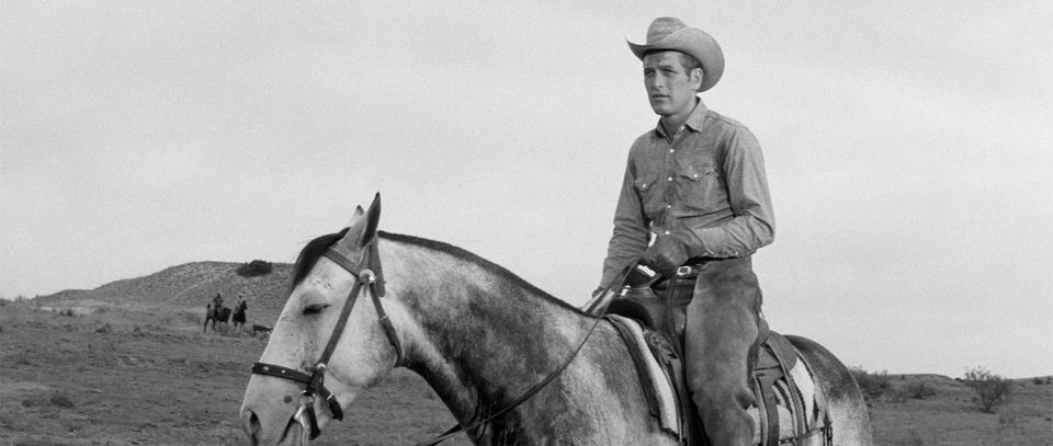 Criterion Collection - July 2026 Releases