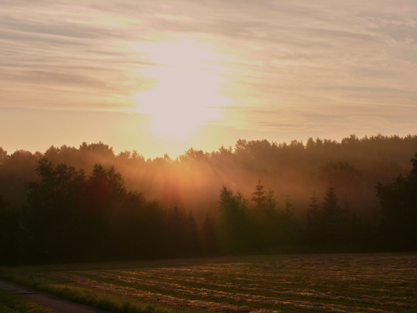 What I Mean When I Say “Supernatural”