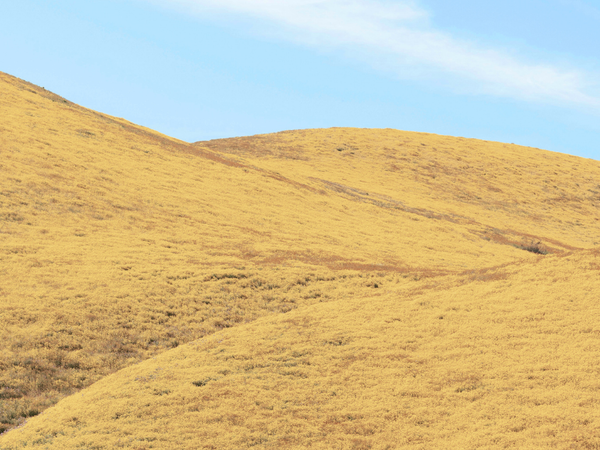 Arise, Shine — and Wait