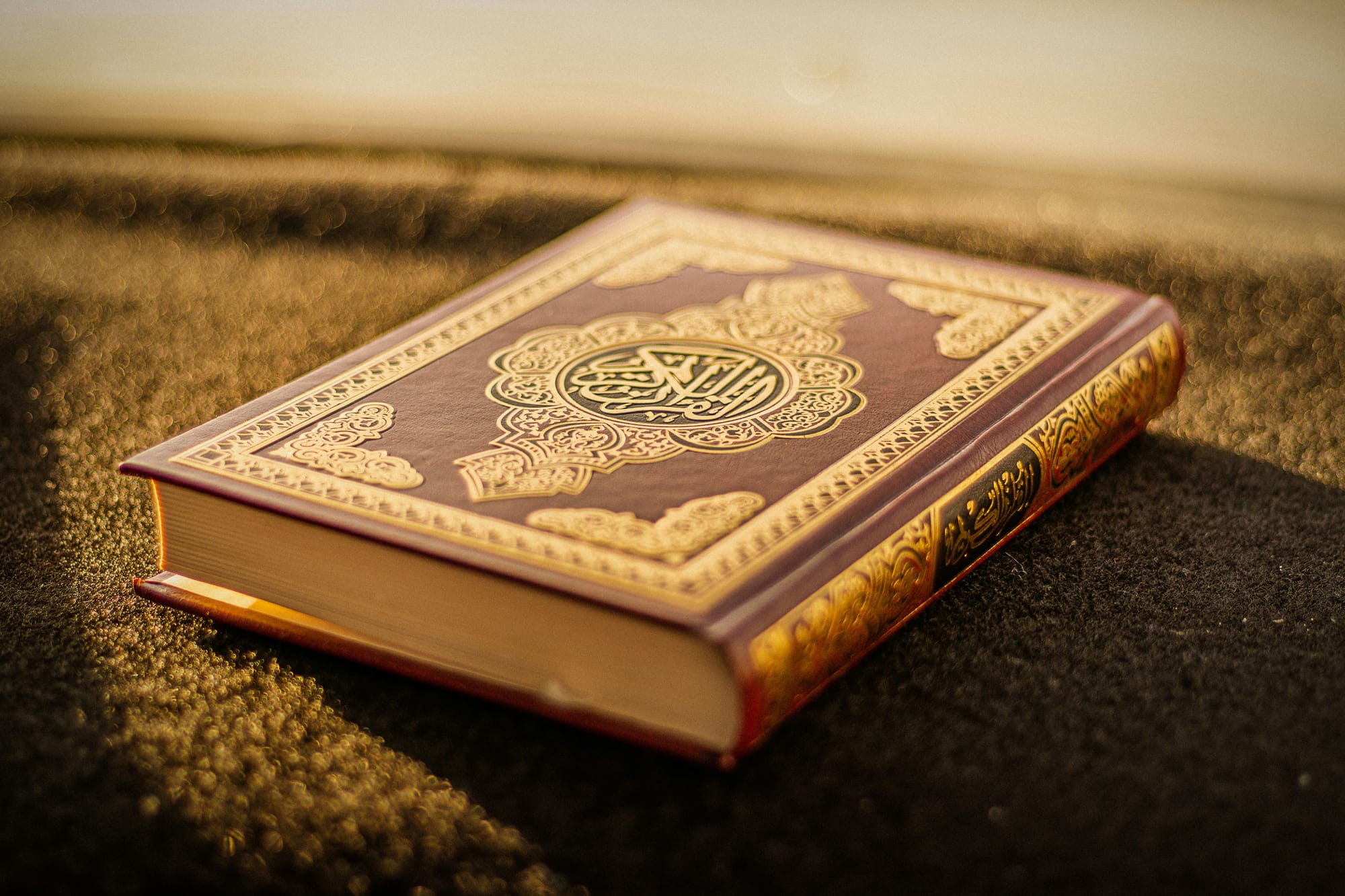 The Best Online Quran Classes for Adults in 2026